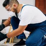 Ant Control Perth - photo 1