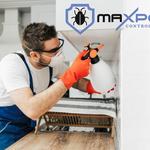 Fleas Control Canberra - photo 4