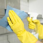 Mobile Oven Cleaners - Mobile Oven Clean - photo 6