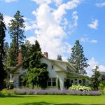 Calzonetti Group - photo 1