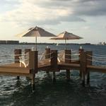 Ocean One Marine - photo 9