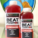 Earth Strong - photo 2