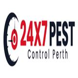 Rodent Pest Control Perth