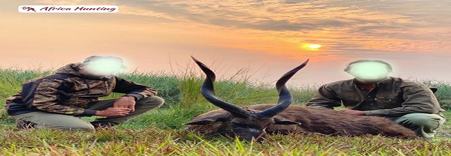 Africa Hunting cover photo