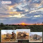 Africa Hunting - photo 2