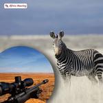 Africa Hunting - photo 3