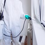 Bed Bug Control Hobart - photo 8