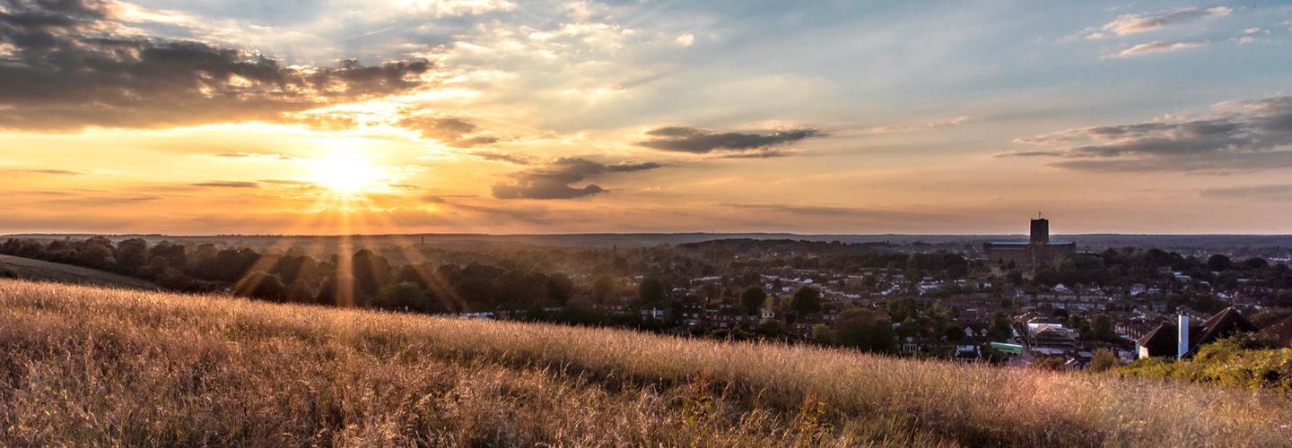 Collins Independent Estate Agent cover photo