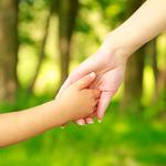 Crucial Investigations - photo 3