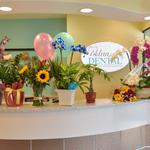 Noleen Dental - photo 3