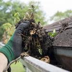 D's Window Cleaning & Pressure Washing - photo 8