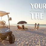 Capital Golf Carts - Largo, Florida location - photo 2