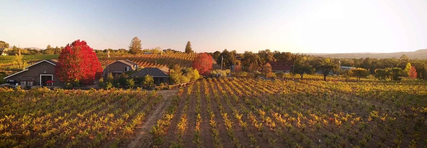 Limerick Lane Cellar cover photo