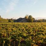 Limerick Lane Cellar - photo 1