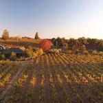 Limerick Lane Cellar - photo 2