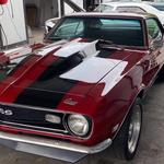 Perfect Shine of Jax - photo 5