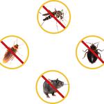 Marigold Pest Services - photo 2