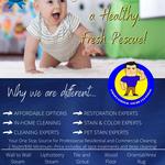 Professional Steam Cleaning - photo 3