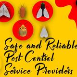 Peters Pest Control Melbourne