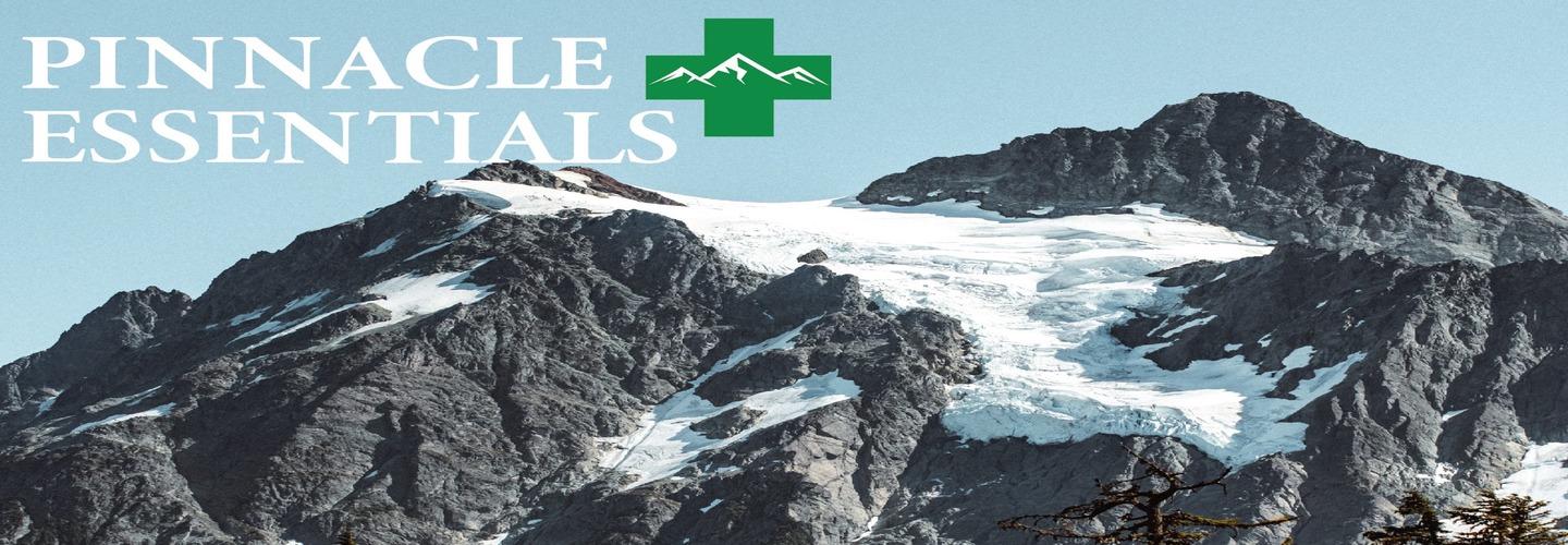Pinnacle Essentials Group LLC cover photo