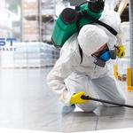 Rodent Pest Control Hobart - photo 1