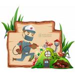 Ant Removal Hobart - photo 2