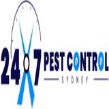 Cockroach Pest Control Sydney - Pest Control in Sydney