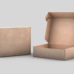 Globe Packaging - photo 3
