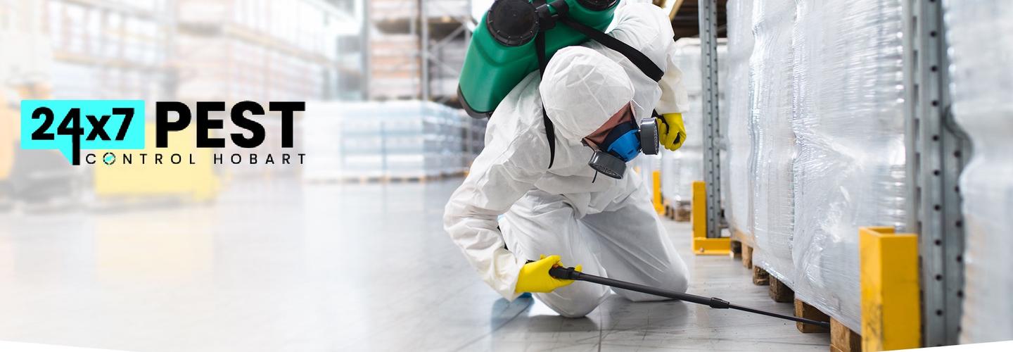 Termite Inspection Hobart