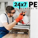 Termite Inspection Hobart - photo 6