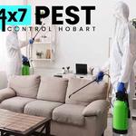 Termite Inspection Hobart - photo 8