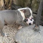 Staffordshirehome - photo 1