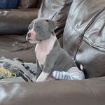 Staffordshirehome - photo 2