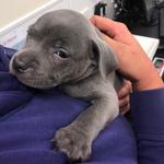 Staffordshirehome - photo 3