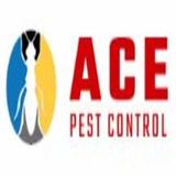 Ace Pest Control Sydney - Home Cleaning in Sydney
