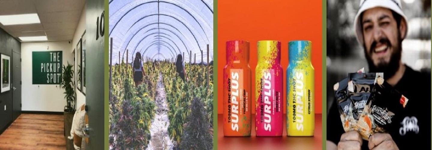 From The Earth Santa Ana cover photo