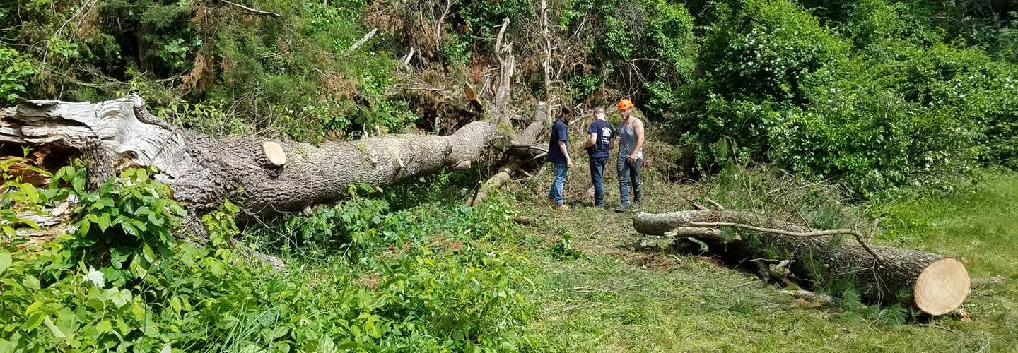 Brooke Tree Service cover photo