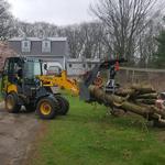Brooke Tree Service - photo 4