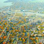 Stang Tree Service - photo 2