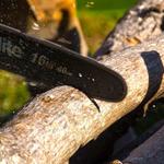 Stang Tree Service - photo 4