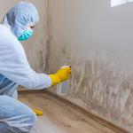 Discovery Mold Experts - photo 2