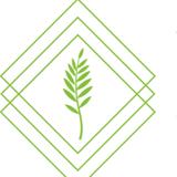 Elements Wellness - Body Shops in Burlingame