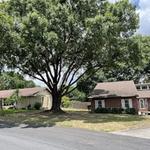 Precision Tree and Outdoor Services - photo 1