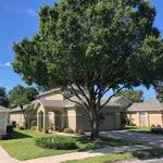 Precision Tree and Outdoor Services - photo 2