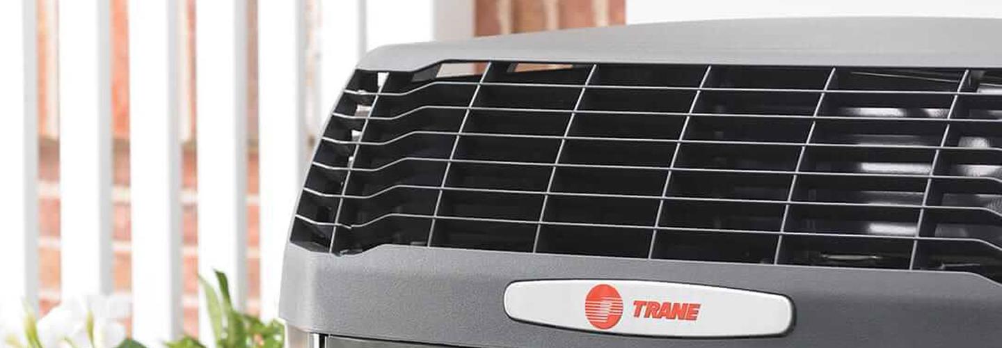 Comforts on the Coast cover photo