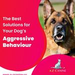 A-Z Canine Training - photo 2