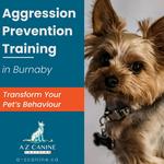 A-Z Canine Training - photo 3