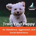 A-Z Canine Training - photo 4