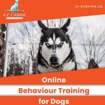 A-Z Canine Training - photo 6