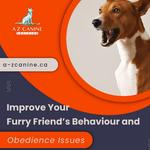 A-Z Canine Training - photo 7